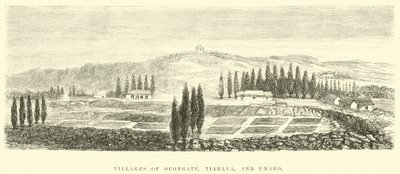 Laramie Kalesi, 1858-60 by Edouard Riou